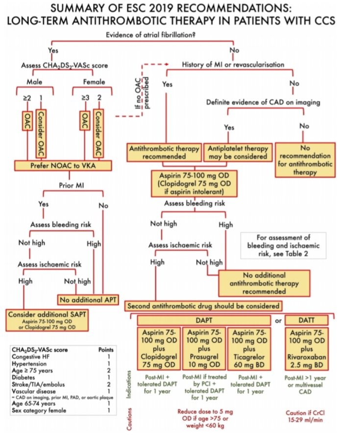 dr_benoy_n_shah's tweet photo. Cardiology trainees of the 🌍

The powers that be decided your exams are too easy. Way too easy.

This diagram is for your enjoyment. You need to commit this to memory. Now. Before they change their minds again &amp; resurrect ticlopidine.

You have my sympathies! 😆
#cardiotwitter https://t.co/EITURn2V5x