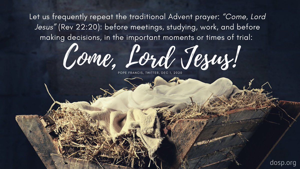 DioStPete's tweet photo. Come, Lord Jesus! 🙏 #courageouslyliving #DOSPAdvent https://t.co/dUScGwldev
