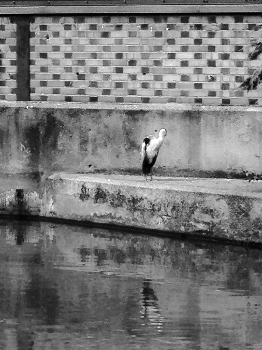 Reflection on the canal #nottingham #Nottingham