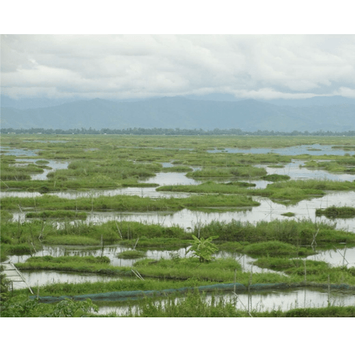 DocBGS's tweet photo. PhD opportunity! https://t.co/Y8kGzFeafD
Hosted with @BritGeoSurvey @JackHLacey pollution in tropical wetlands with Dr Virginia Panizzo @UniofNottingham @ENVISIONDTP #isotopes #lakesediments #phdopportunity https://t.co/xyvqNif1Se