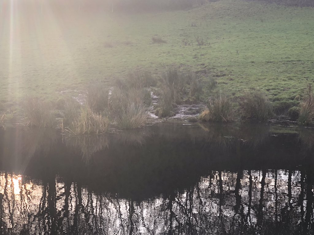 Waterfall and run off