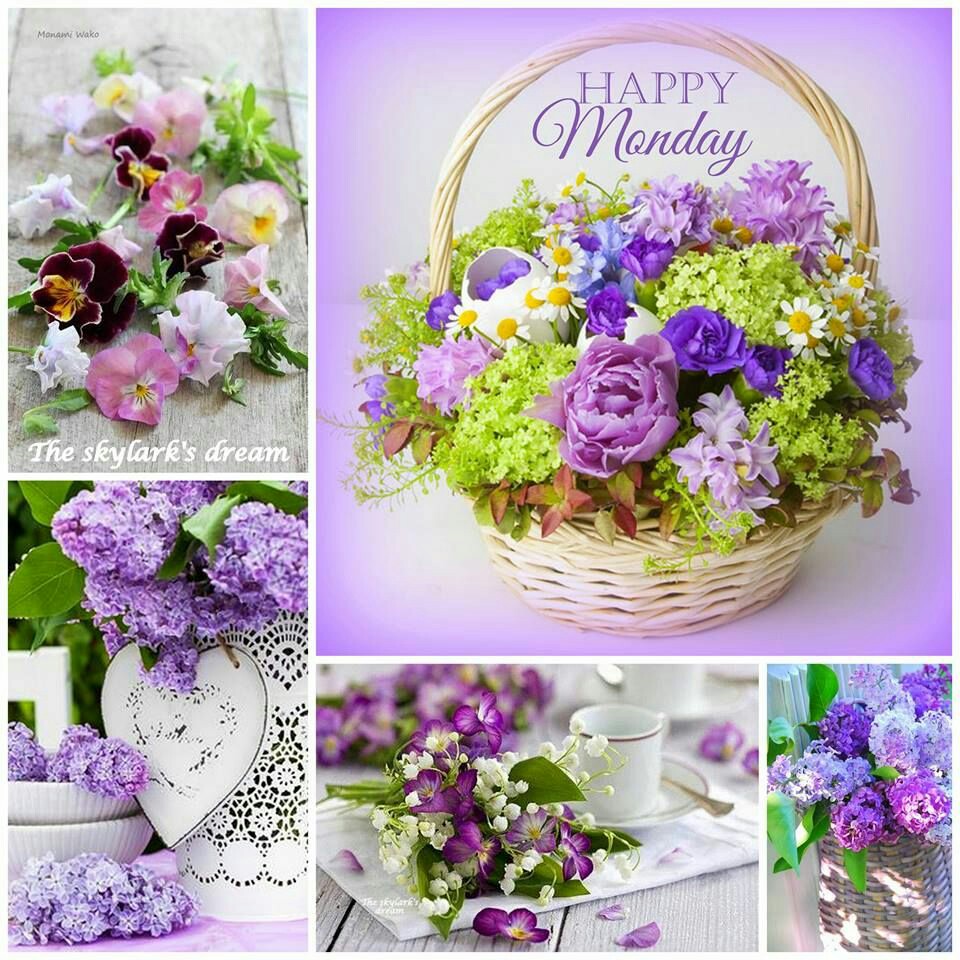 <a href="/ShoutMGB/">Michael Bathurst</a> <a href="/TheRickWilson/">Rick Wilson</a> @Backpackjohn1 @AntonCountrySup <a href="/XboxCanada/">Xbox Canada</a> <a href="/UnlockBiz/">Unlock Your Business</a> <a href="/SimoneAlbuque10/">#FOTOCENTER# e #Ops#</a> <a href="/mvollmer1/">Dr. Marcell Vollmer #StaySafe #CES2026</a> <a href="/jenstirrup/">Jennifer Stirrup #MBA Topics: #AI #Data #Strategy</a> <a href="/billy2kid45/">Billy Binion</a> @MicroNetCorp @reatha_musician <a href="/CUSTER85/">carro patrick jacque</a> <a href="/WinTechSeries/">Women In Technology World Series</a> <a href="/rootnk/">Dave Yadallee</a> Monday Miracles Unfolding #MondayMotivation 
<a href="/WALLI27/">Jhon f perez🎶🎸🚵☯</a> 
<a href="/TheRickWilson/">Rick Wilson</a> 
#leadership @Backpackjohn1 
@AntonCountrySup 
<a href="/XboxCanada/">Xbox Canada</a> 
<a href="/UnlockBiz/">Unlock Your Business</a> 
<a href="/SimoneAlbuque10/">#FOTOCENTER# e #Ops#</a> 
<a href="/mvollmer1/">Dr. Marcell Vollmer #StaySafe #CES2026</a> 
<a href="/jenstirrup/">Jennifer Stirrup #MBA Topics: #AI #Data #Strategy</a> 
<a href="/billy2kid45/">Billy Binion</a> 
@MicroNetCorp 
@reatha_musician 
<a href="/CUSTER85/">carro patrick jacque</a> 
<a href="/WinTechSeries/">Women In Technology World Series</a> 
<a href="/rootnk/">Dave Yadallee</a>