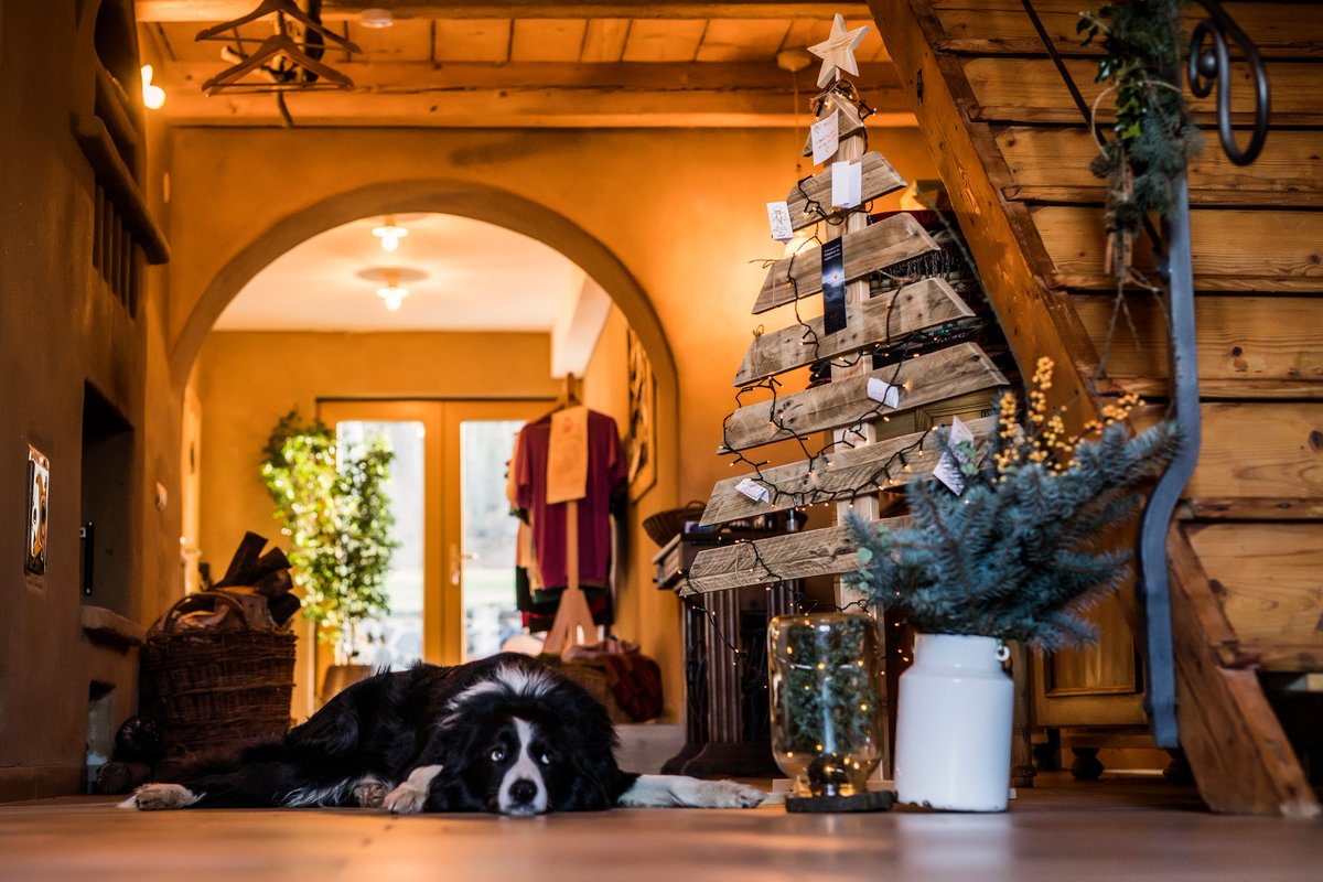 cottagecz's tweet photo. Vánoční pobyt na Bohemian Cottage v Českém Švýcarsku. Volný termín 23-27.12.2020. https://t.co/uQUbJ91MhO #vanoce #ceskesvycarsko https://t.co/RGPMrX0B91