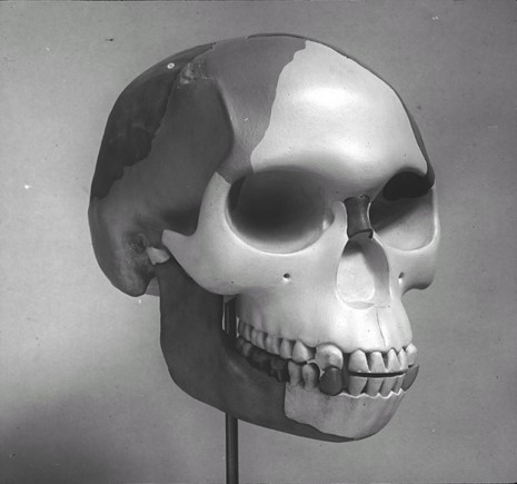 The Pevensey *Roman* tiles were one of 33 forgeries made by Charles Dawson between 1885-1916His greatest *discovery* was Piltdown Man, made in 1912, then thought to be the *Missing Link* in the chain of evolution between ape and human #MuseumsUnlocked day 126: FORGERIES 7/8