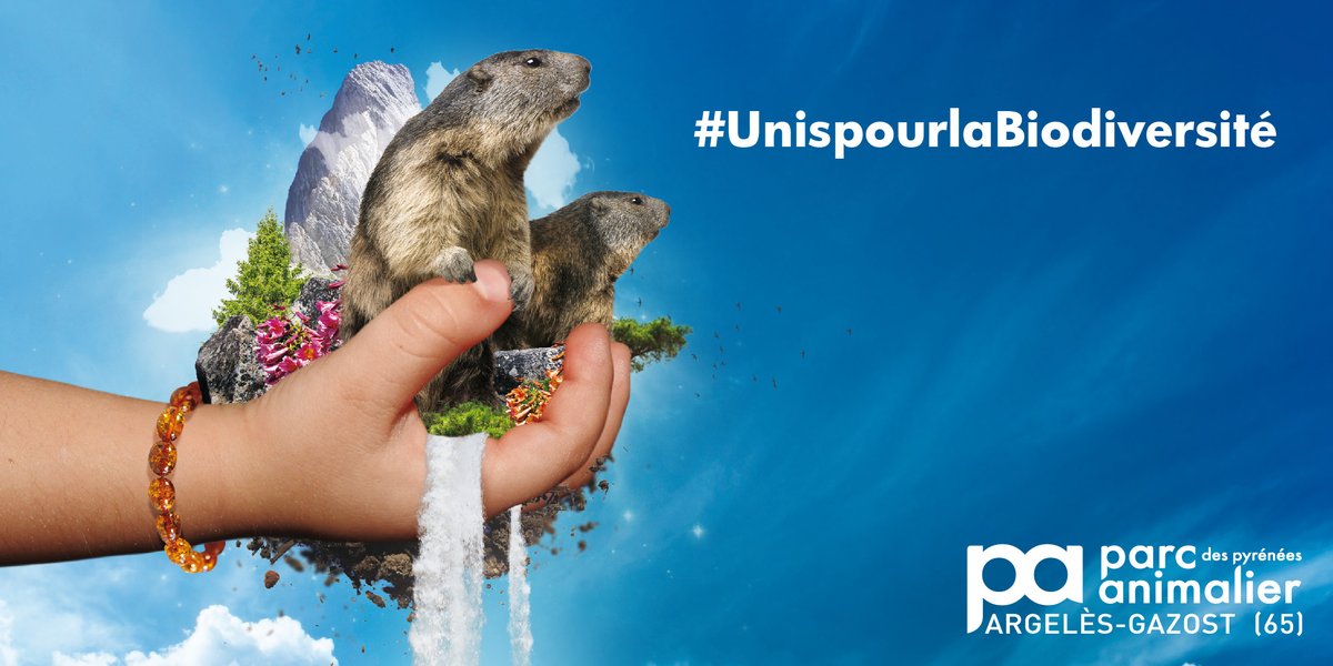 Parc Animalier des Pyrénées tweet media