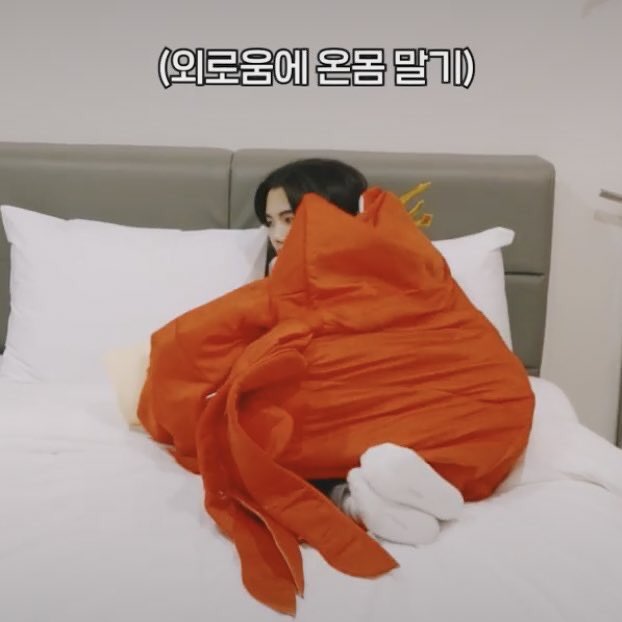 ChuChu_0917_'s tweet photo. 외로움 타는 아기 말티쥬 너무 귀엽고 꼬옥 껴안아주고파... https://t.co/XD6f6BWFgt
