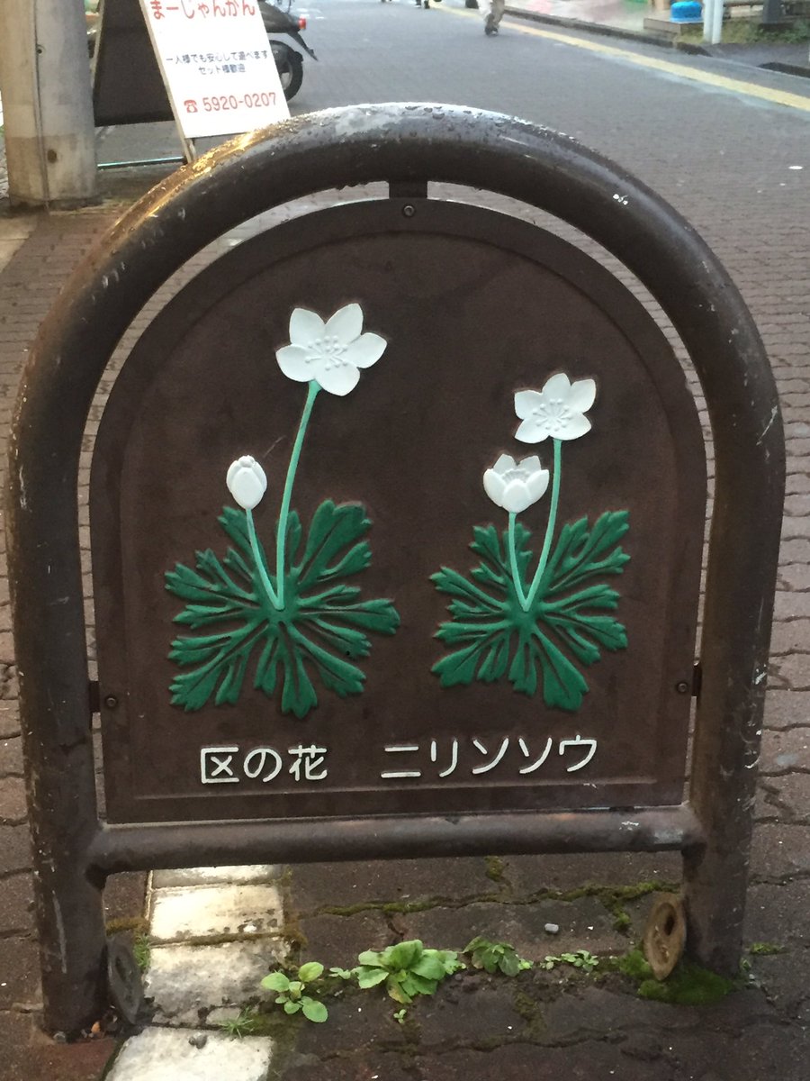 3821DA's tweet photo. 先週末
ライブ声劇『モルスリウム』を観劇させていただきました。烏滸がましいですがキャストさんスタッフさんおひとりおひとりの情熱が凄く、とても美しいかったです。様々な制約があ��現代、つよくやさしく生きねば。
#モルスリウム https://t.co/G2TjNgvou0