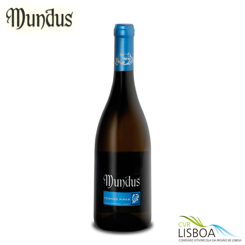 Conheça os vinhos da Adega Cooperativa da Vermelha| mundus.pt

#vinhosdelisboa