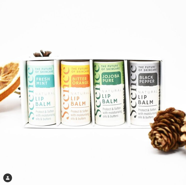 Peace With The Wild tweet media