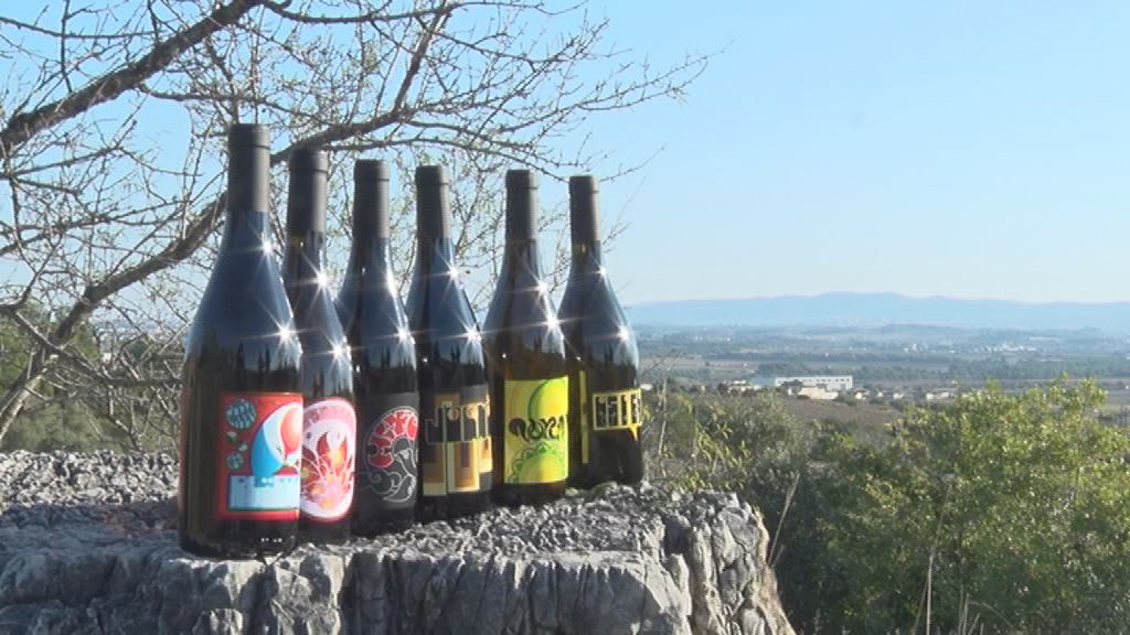 RTVEV's tweet photo. Els vins del celler ‘Un sol cel’ escollits per comercialitzar-se a les botigues d’un conegut grup @unsolcelvins @AmetllerOrigen #km0 #proximitat 

https://t.co/5avXhtoQvt https://t.co/ZwcBUUjMmT