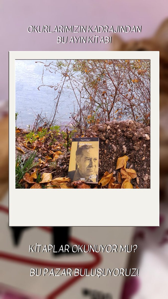 Kulübümüzün Okuma Komisyonu ile bu pazar (13 Aralık), akşam saat 7'de "Aylak Adam" hakkında konuşacağız. Kitap sohbetlerimizin 3.sünü gerçekleştirmek bizi mutlu ediyor. Sizleri de bekliyoruz📚