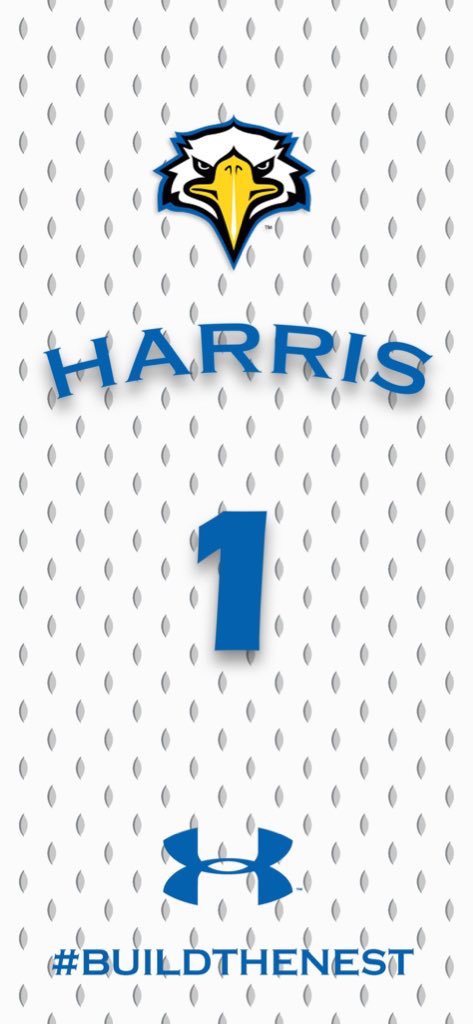 110% Committed!! 〽️🦅💙