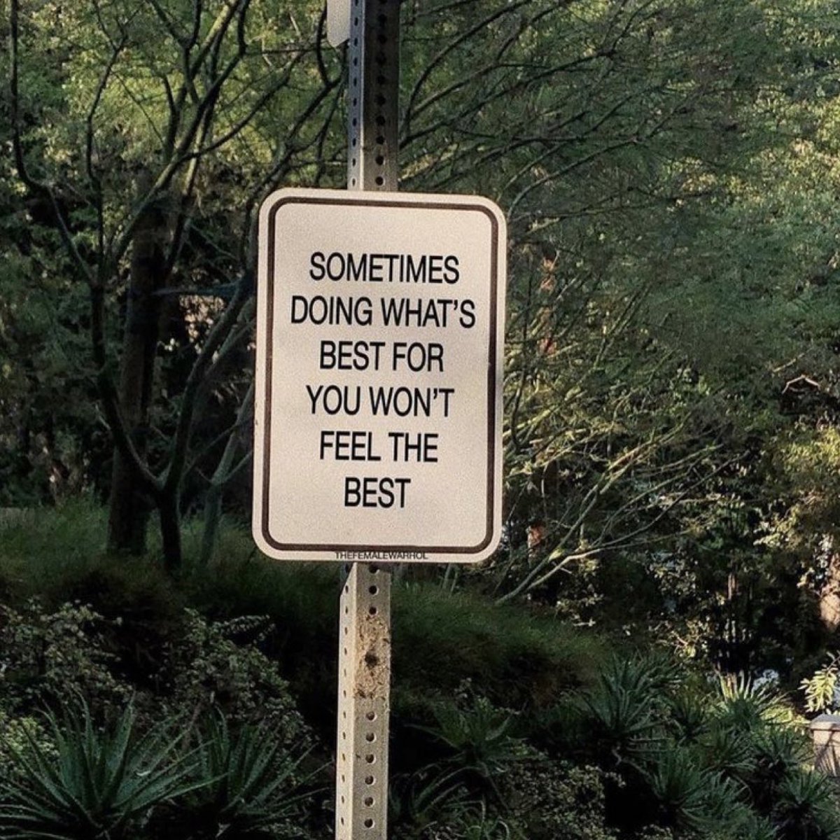 mal (@malerieherreraa) on Twitter photo 