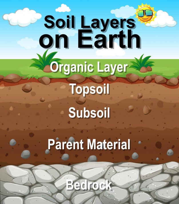 AMaldonado_DSSE's tweet photo. My scholars enjoyed performing this Soil Layer Pudding hands-on experiment where they were able to have a visual representation of the soil layers on Earth in a fun and yummy way! π±ππ #TeamSISD #KinderisFun #LayersofSoil https://t.co/YBhfqlvWgH
