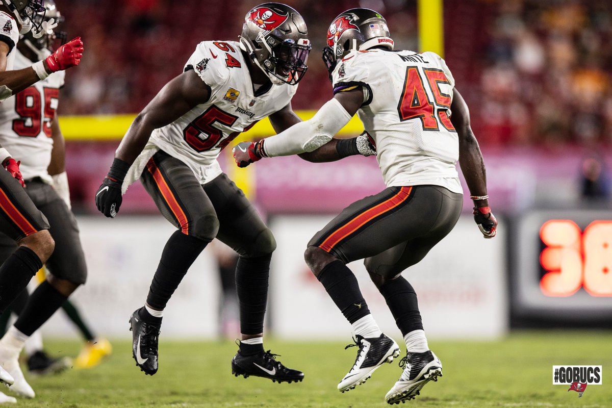 Buccaneers's tweet photo. RT to #ProBowlVote for the best linebacker duo in the game 🤠

#LavonteDavid x @DevinWhite__40 https://t.co/3dL3MYMrDC
