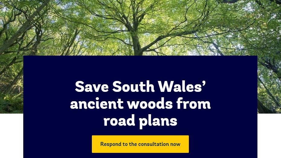 10/ So why not, 'really' take a ‘Llwybr Newydd - New Path’ & say no more new roads  https://campaigns.woodlandtrust.org.uk/page/70903/action/1