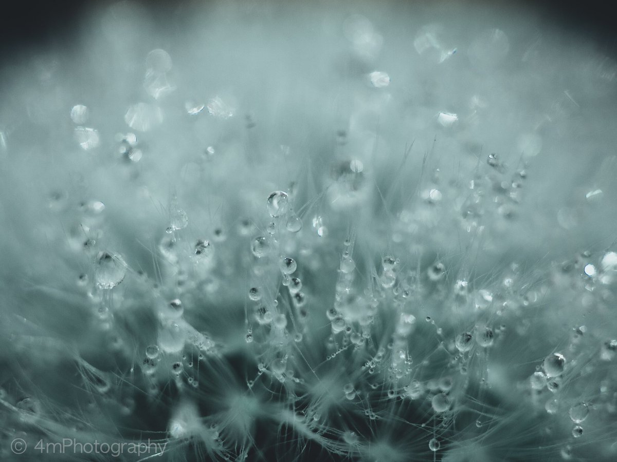 AdobeeIsland's tweet image. Found some old photos I thought I’d mess around with