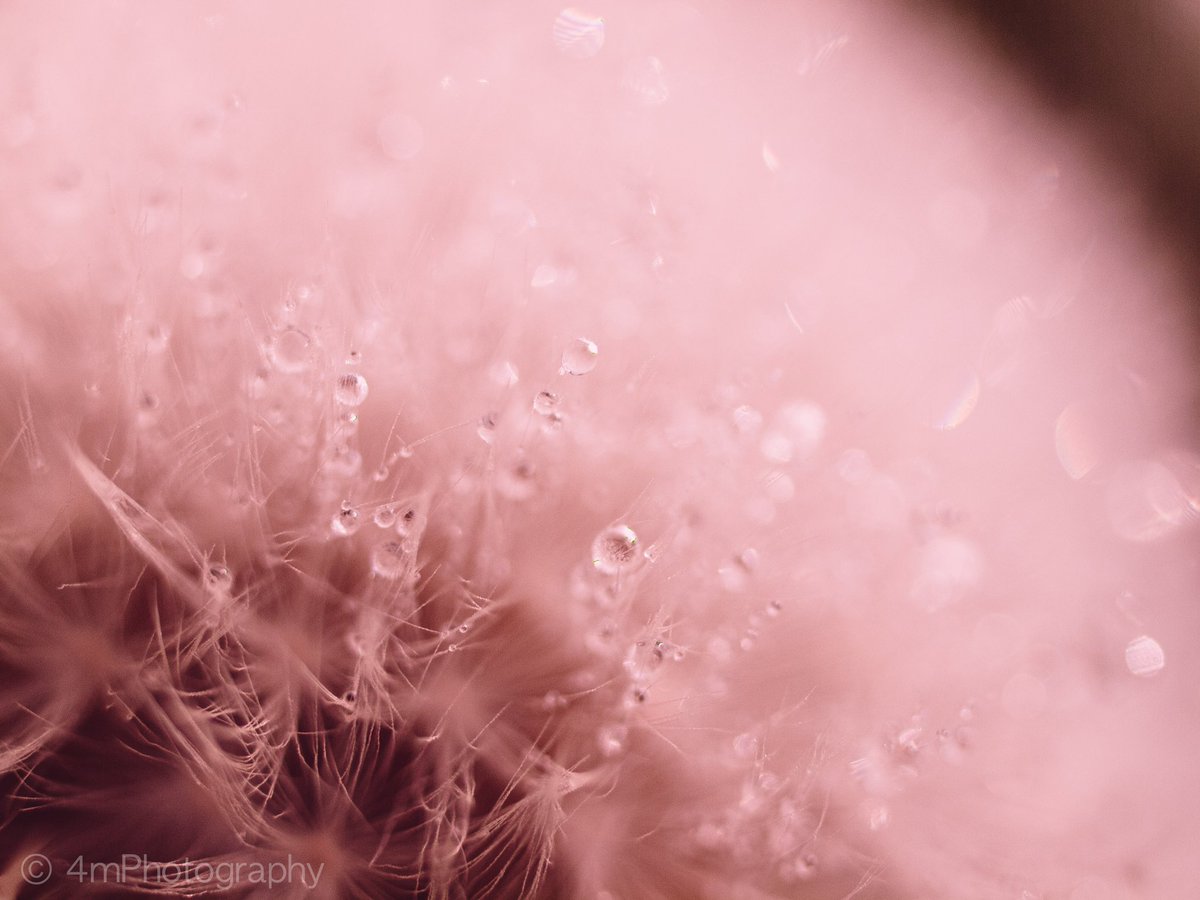 AdobeeIsland's tweet image. Found some old photos I thought I’d mess around with