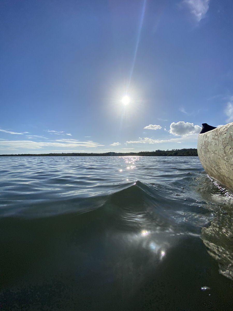 tefi 🇲🇬 tweet media