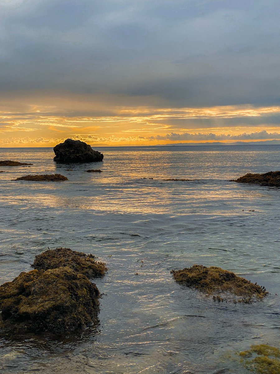 tefi 🇲🇬 tweet media