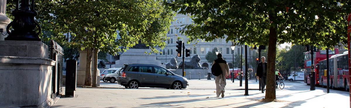 Check out this list of nine reasons why our cities need more trees.  Yes please! greenblue.com/gb/9-reasons-o…