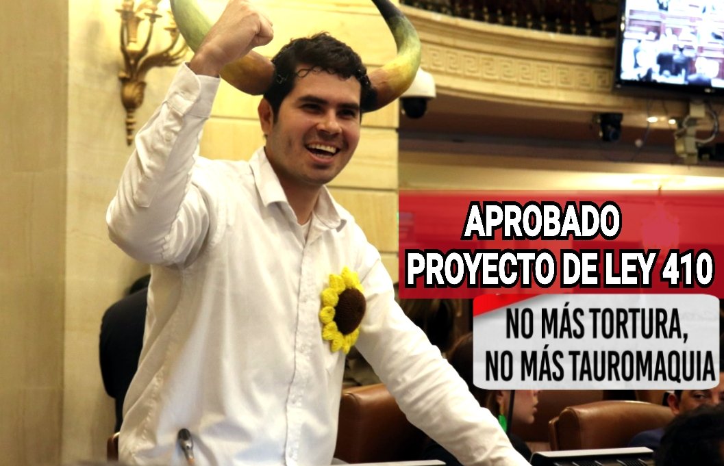 FabianDiazPlata's tweet photo. El Toreo NO es arte, NO es cultura, es hacer del asesinato, humillación y #TORTURA de un ser vivo, un espectáculo

Fue #APROBADO en primer debate el  proyecto del ley 410 de cual somos Coautores y con el que buscamos #PROHIBIR las prácticas taurinas en Colombia
#ColombiaSinToreo https://t.co/R7W4GbRt4h