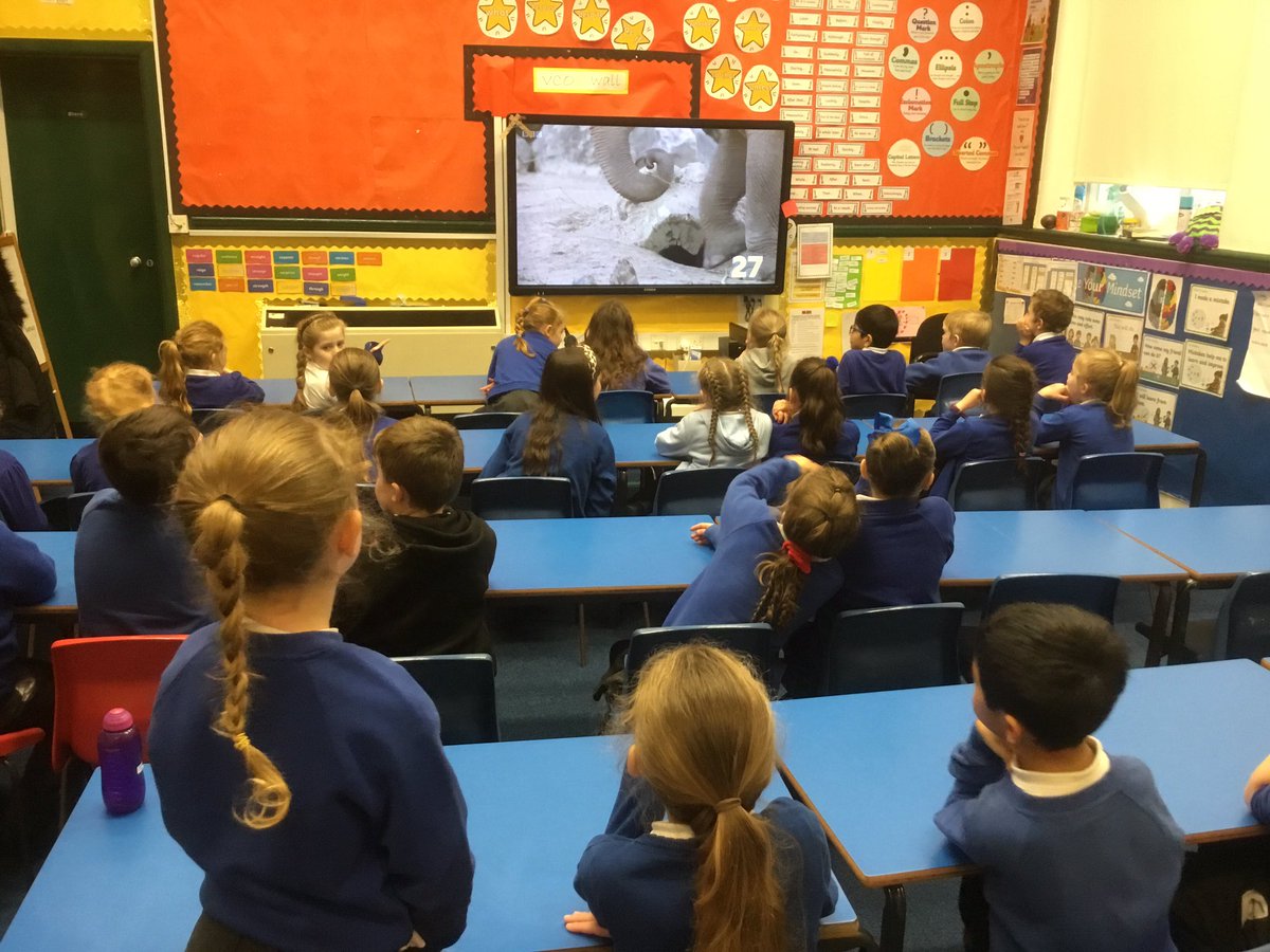 Disley Primary School tweet media