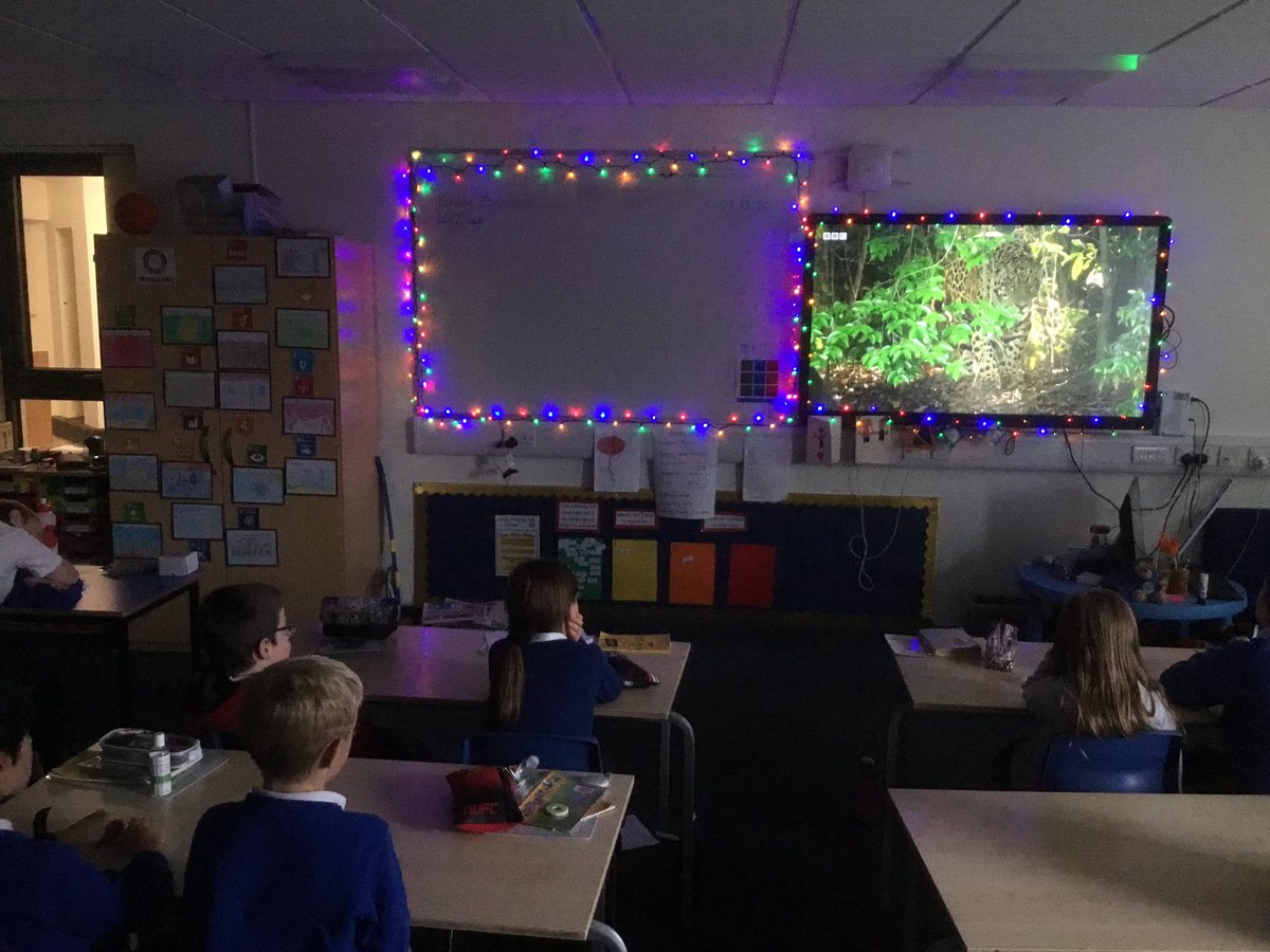 Disley Primary School tweet media