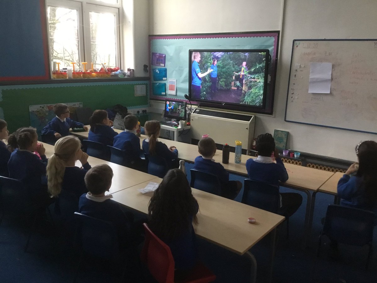 Disley Primary School tweet media