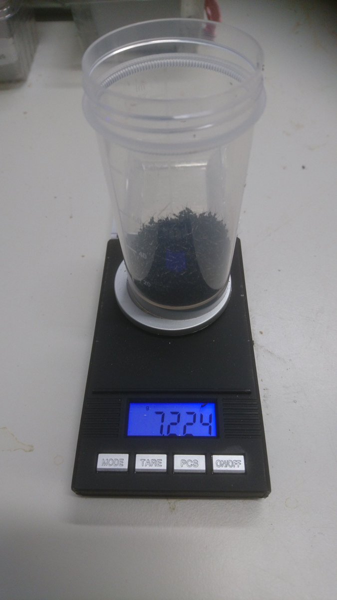 dr_nils's tweet photo. Two days' yield of #Gryllus_bimaculatus nymphs from the German #IFNext colony... This is some 4800 individuals, calculating... https://t.co/0lOEaZZfpJ