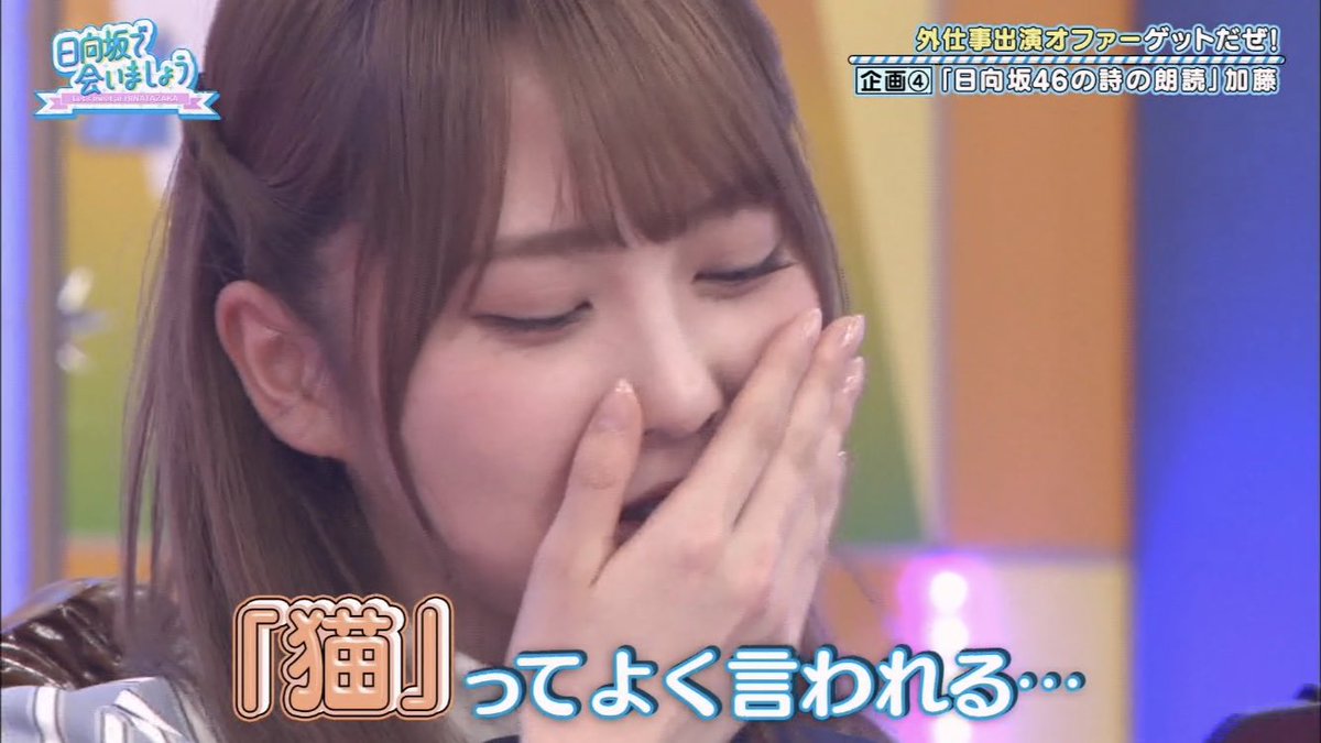 わかわかわかちゃん W 猫 猫 猫 猫 オードリー オードリー若林 若林正恭 若林 若様 若ちゃんかわいい 激レアさん Ipponグランプリ Ippon 日向坂で会いましょう 加藤史帆 かとし