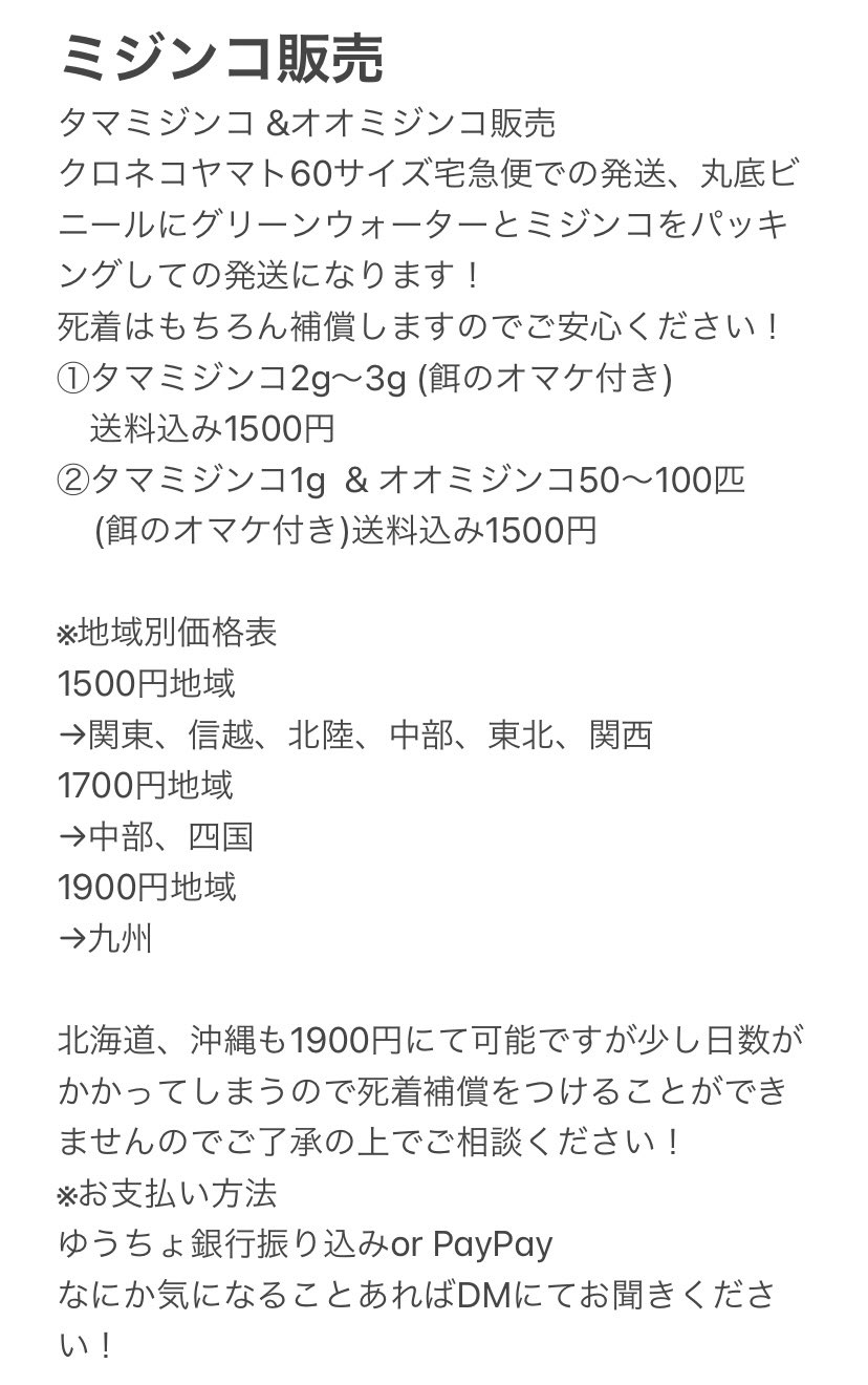 それゆけ Dcめだか Youtube ミジンコ販売始めます ミジンコの培養など質問もいつでもどうぞー それゆけ Dcめだか Youtube ミジンコ販売始めます ミジンコの培養など質問もいつでもどうぞー
