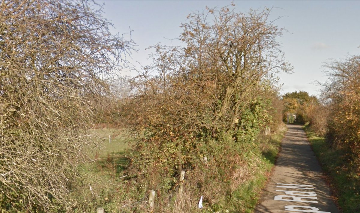 Last week were told that the hedgerows along the west side of Nelstrop Road North had been torn up and replaced with fencing, so we went down to have a look. Compare this to how it used to look on Google Maps.