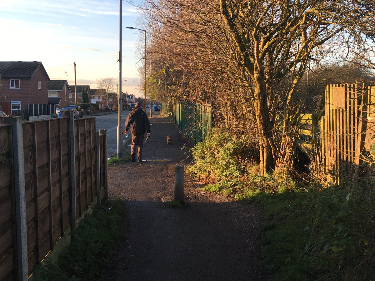 The Shores Fold Farm site has been up for development for some time – planning permission was granted last year after a long legal battle. Presumably this work has been done by the developer, as the hedgerows along the other side of the site facing Cringle Road have also gone.