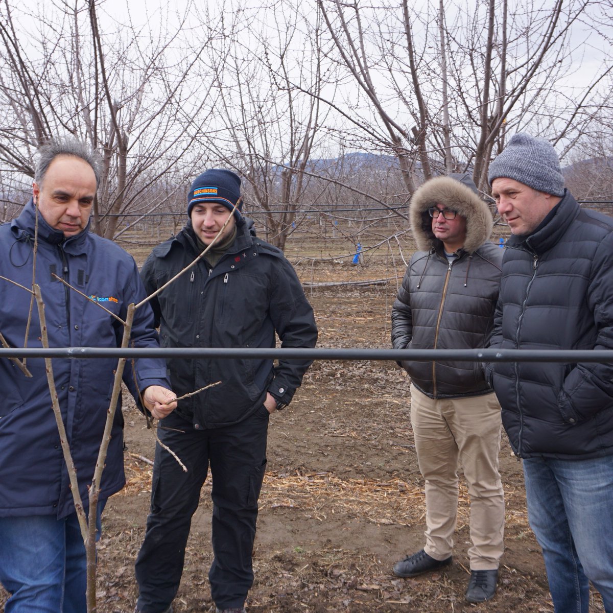 i_conshare's tweet photo. Ways to form a tree canopy and pruning techniques in cherry cultivation during winter pruning
#iconshare #cherrypruning #winterpruning #bulgaria https://t.co/NBPhz3PtTa