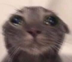 Me trying to not tell people what their gifts are.