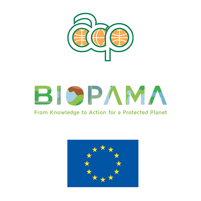 Ol Pejeta tweet media