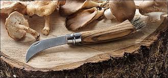 A Mushroom knife makes an amazing and thoughtful gift. 
Shop our latest selection of mushroom knives here: ow.ly/yEDc50xdwYc