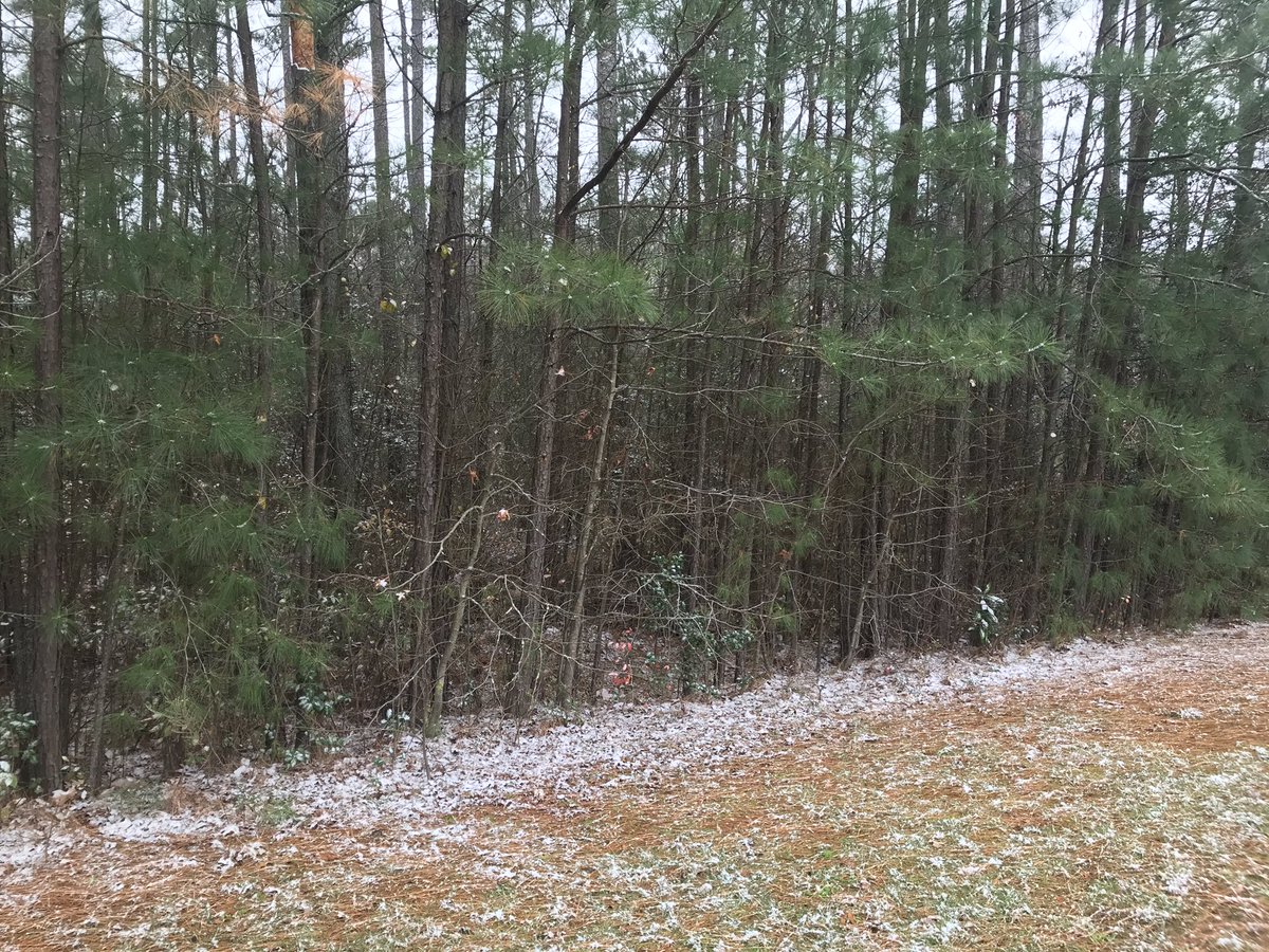 Mike Hasley tweet media