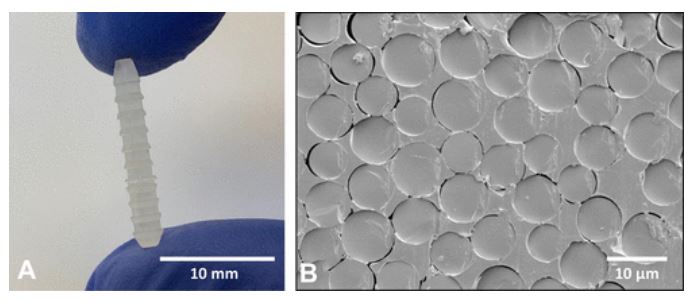 AOFAS_Journals tweet media