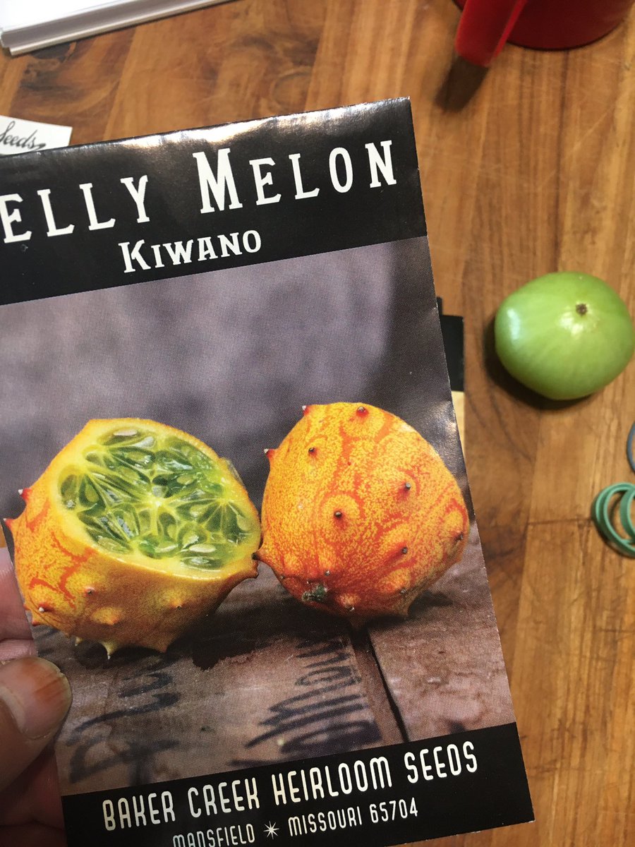 OzarkAkerz's tweet photo. I won a $50 gift certificate to @rareseeds for a photo of our bull Rocky at @carolinafarm sustainable Ag conference! I found these Gakachika seeds that grew in my childhood home #Zimbabwe! They taste like a combo of passion fruit and banana!๐ค
@NCZoo @AgClassroom @ModFarm https://t.co/xgMpSm7OhM
