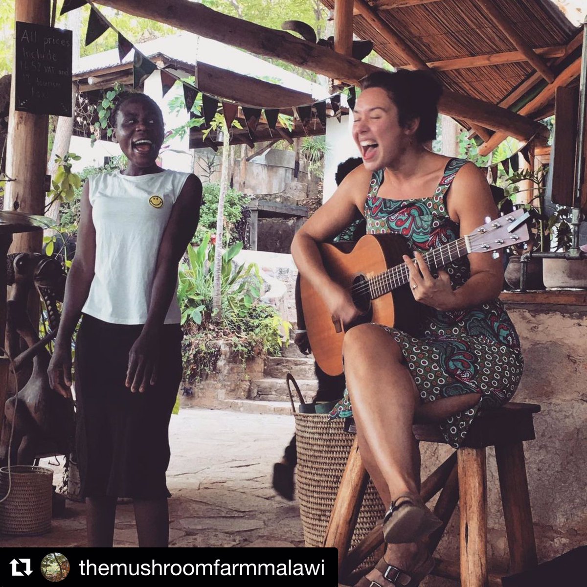 AnnemarieQuinn's tweet photo. So happy to be back at #TheMushroomFarm yesterday’s show so great! I also met an ex-Jacaranda student, Chimwemwe, who now lives &amp; works at #Livingstonia who sang with me - a true Jacaranda student 🧡 Thank you for having me Mushroom 🙏🎶 #music #livemusic #gig #malawi #africa https://t.co/gkijmW2Tra