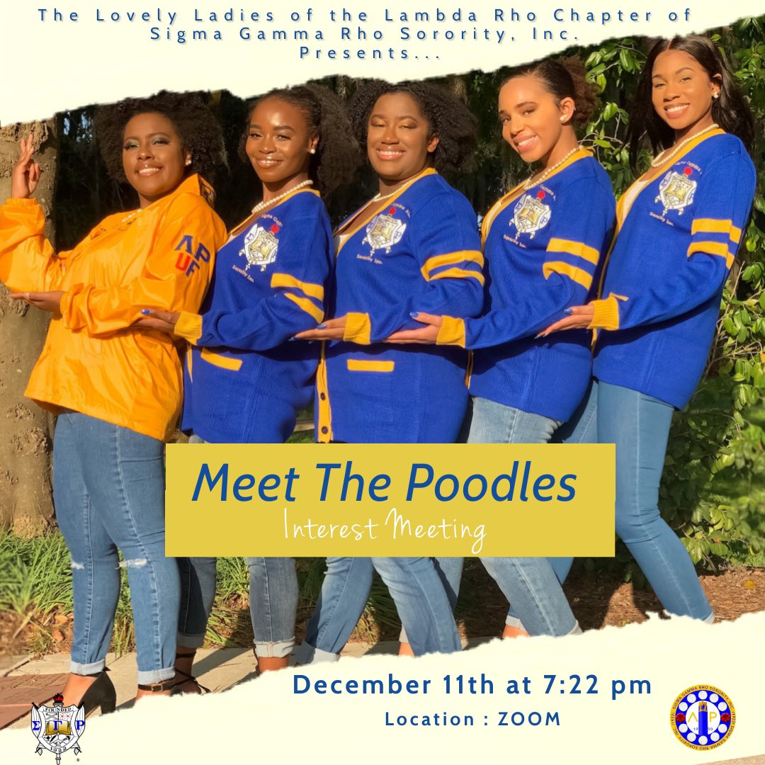 UF Poodles tweet media