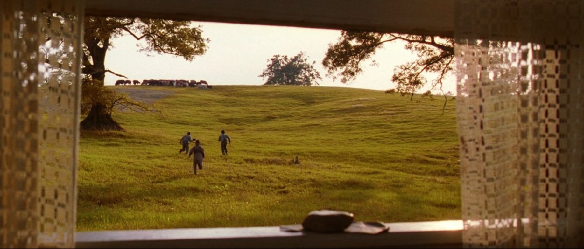 La Cúpula. tweet media