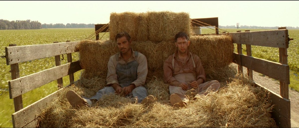 La Cúpula. tweet media