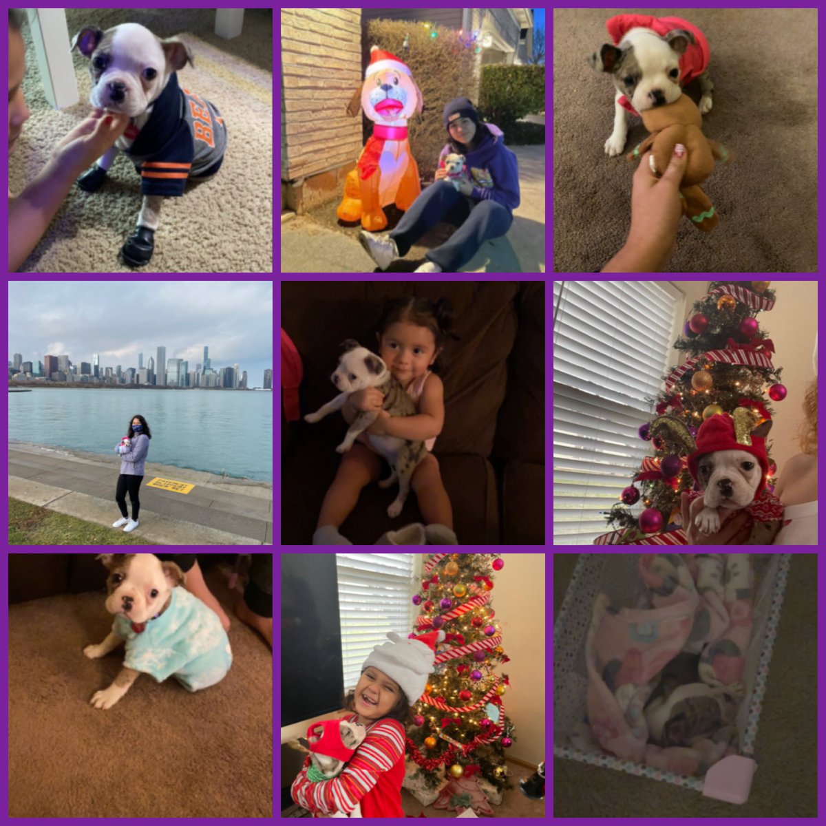 Fátima (@fatima02970264) on Twitter photo Welcoming the member in our family Hailey Garcia to Twitter 💜
This one goes out to <a href="/GMedina_IL/">Gabriela Medina</a> Welcoming the member in our family Hailey Garcia to Twitter 💜
This one goes out to <a href="/GMedina_IL/">Gabriela Medina</a>