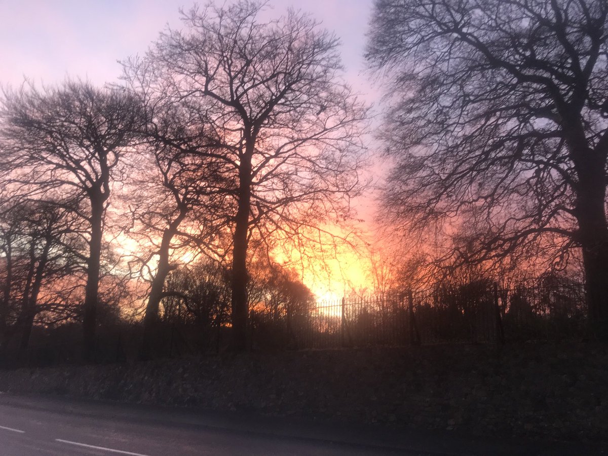 Sniffowski's tweet image. 