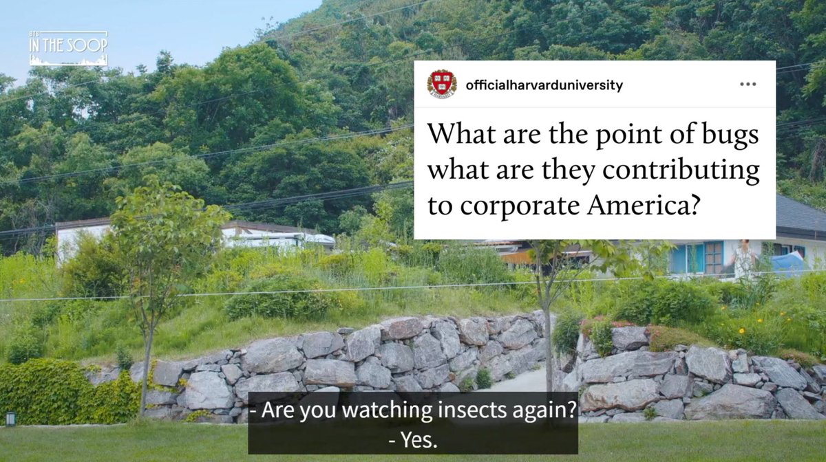 [What are the point of bugs what are they contributing to corporate America?]