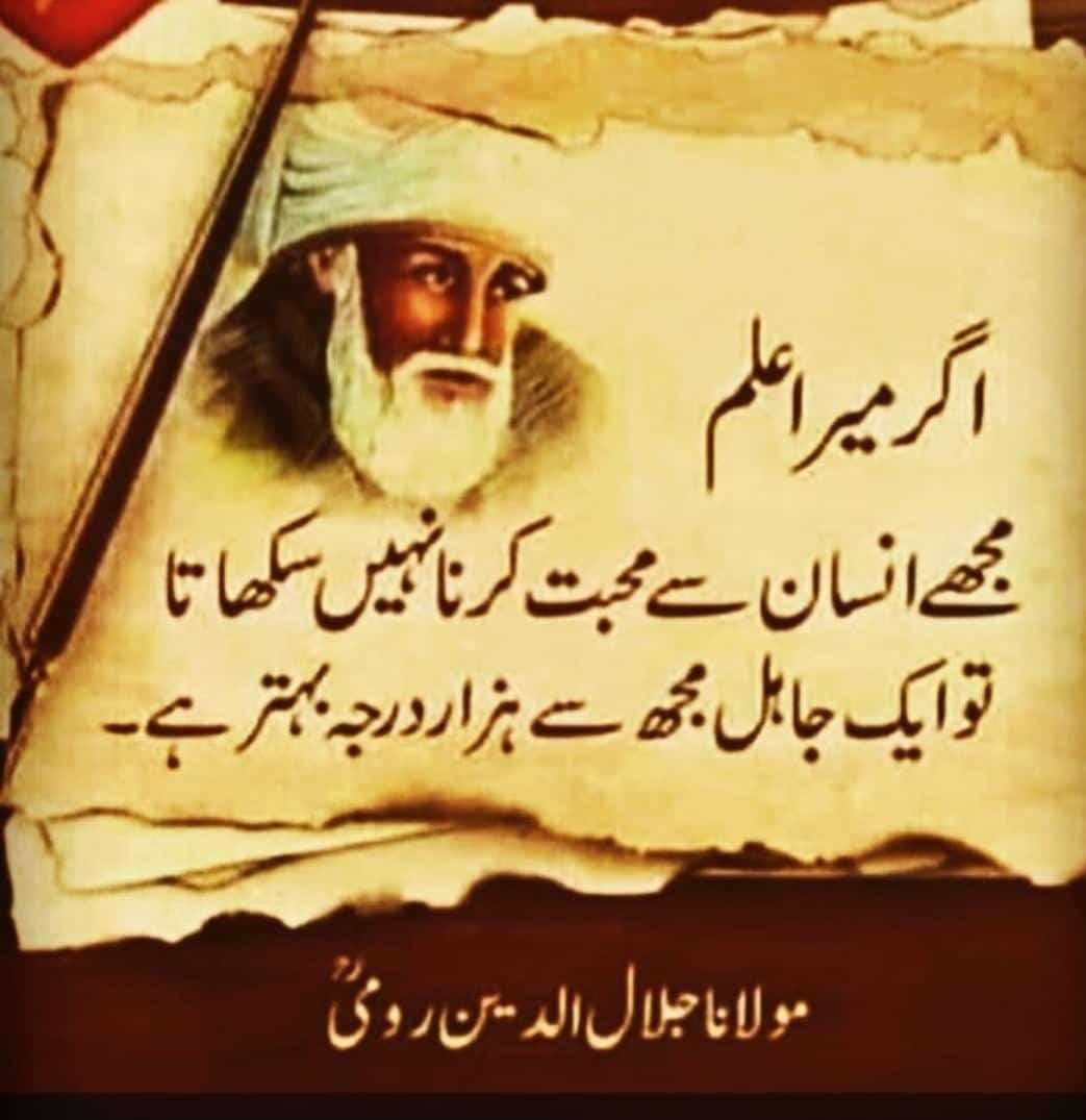 MominHamdani's tweet image. 