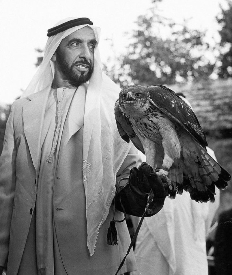 шейх зайд ибн-султан аль-нахайян. шейх эстетика. шейх жестокая сказка. шейх жестокая сказка. подарок для шейха анастасия шерр книга.